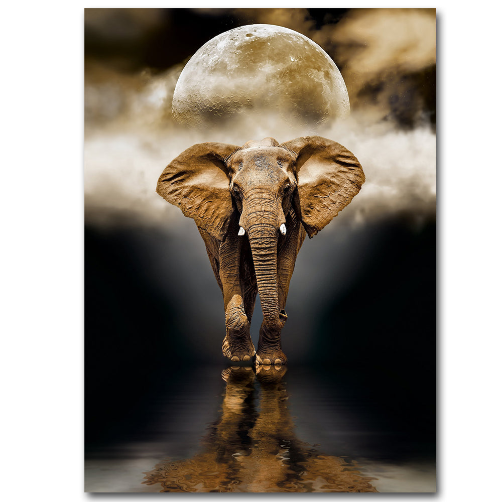 Creative Elephant Canvas Painting